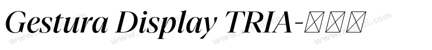 Gestura Display TRIA字体转换 Gestura Display TRIA字体转换